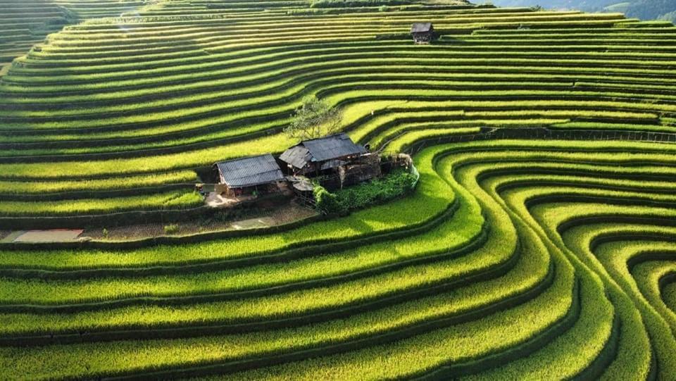 Homestay Hoa Thao - Bus ,Trek & Motorbike Mu Cang Chai Dış mekan fotoğraf