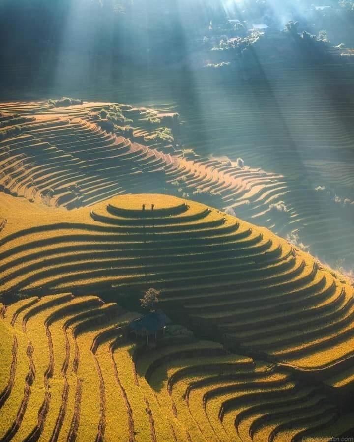Homestay Hoa Thao - Bus ,Trek & Motorbike Mu Cang Chai Dış mekan fotoğraf